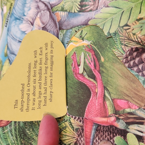 Dinosaur World Flap Book (EUC) & 1 Glow in the dark 3D-Puzzle (new) - Picture 9 of 16